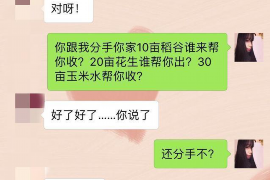 防城港防城港的要账公司在催收过程中的策略和技巧有哪些？